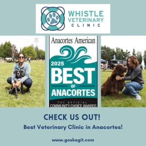 Voted Best Vet in Anacortes 2025 